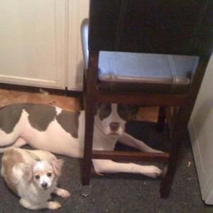 Meet your Posher, Sherri